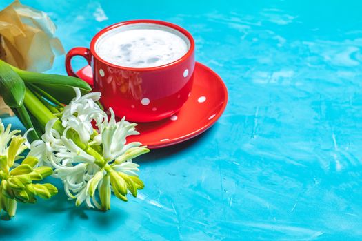 Red in white dotted cup of coffee with milk and white hyacinths on blue concrete surface background, copy space. Beautiful spring greeting card.