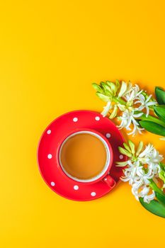 Red in white dotted cup of tea beside white hyacinths on yellow surface background. Minimalism, top view, copy space for you text.