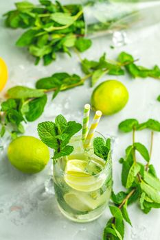 Mojito cocktail with lime and mint in highball glass on a gray and green concrete stone surface background. With copy space for your text