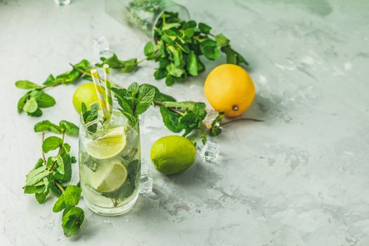 Mojito cocktail with lime and mint in highball glass on a gray and green concrete stone surface background. With copy space for your text