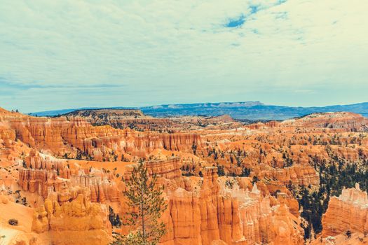 Bryce Canyon National Park, Utah, USA