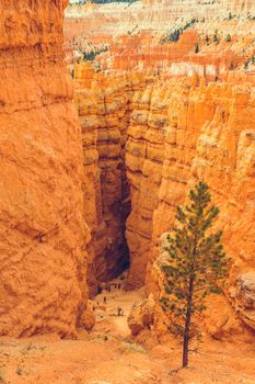 Bryce Canyon National Park, Utah, USA