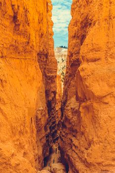 Bryce Canyon National Park, Utah, USA