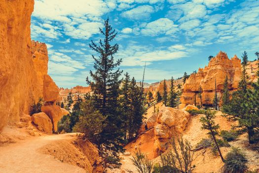 Bryce Canyon National Park, Utah, USA