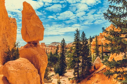 Bryce Canyon National Park, Utah, USA