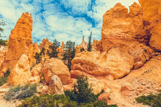 Bryce Canyon National Park, Utah, USA