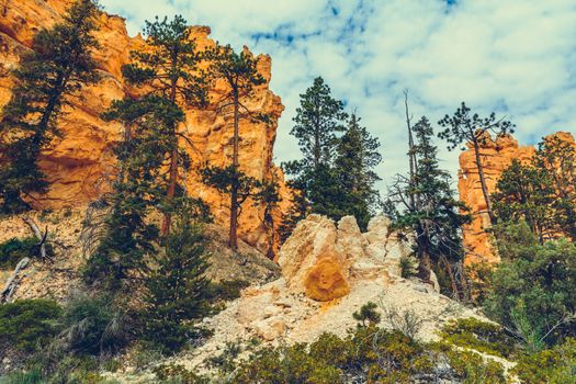 Bryce Canyon National Park, Utah, USA