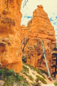 Bryce Canyon National Park, Utah, USA