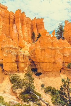 Bryce Canyon National Park, Utah, USA