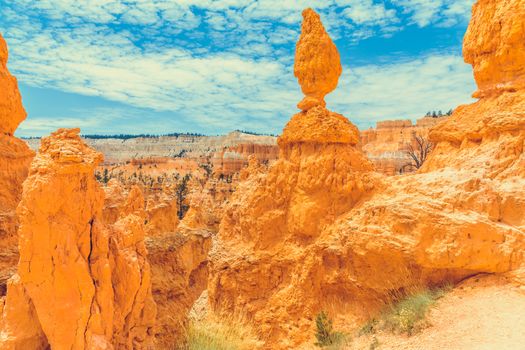 Bryce Canyon National Park, Utah, USA