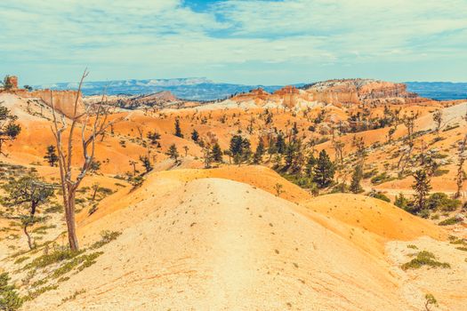 Bryce Canyon National Park, Utah, USA