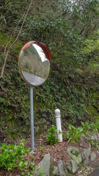 The landscape of Traffic curved glass in natural forest park.