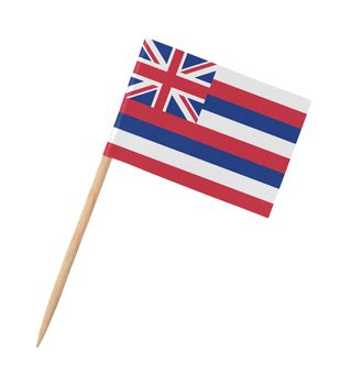 Small paper US-state flag on wooden stick - Hawaii- Isolated on white