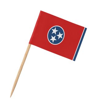 Small paper US-state flag on wooden stick - Tennessee - Isolated on white