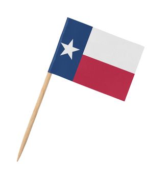 Small paper US-state flag on wooden stick - Texas - Isolated on white