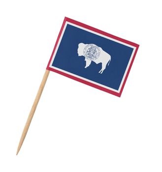 Small paper US-state flag on wooden stick - Wyoming - Isolated on white