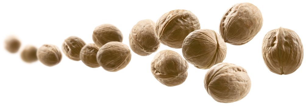 Whole walnuts levitate on a white background.
