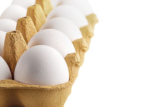 White eggs in tray perspective isolated on white background