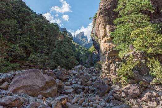 View from the Tugela Gorge towards the Devils Tooth and Toothpick in the Amphitheatre