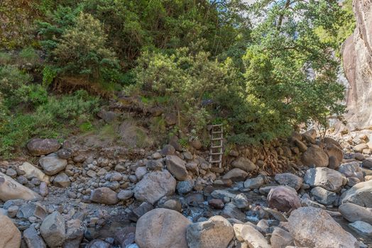 Wooden ladder on trail to the Tugela Tunnel Cave in the Drakensberg. The Tugela River is visible