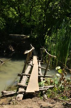 A fairy-tale bridge in a forest on a swamp, made of wood.