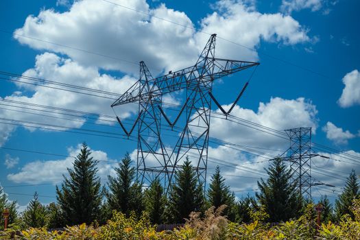 Power lines under blue sky over green trees