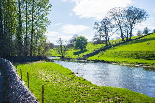 Bela river running through Dallam Park Milnthorpe UK