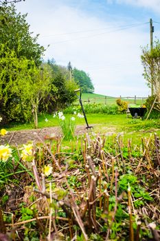 Soil preparing for planting in spring. UK