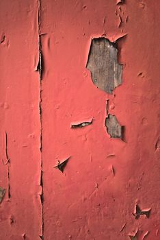 Texture of peeling red paint on grungy old wood