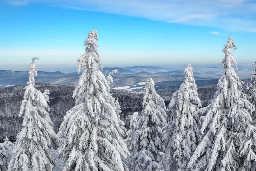 Picturesque view from a mountain top on a snowy forest and mountain peaks