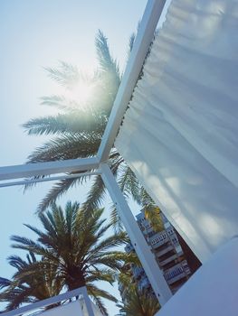 Tropical palm trees on the beach, summer nature and travel concept