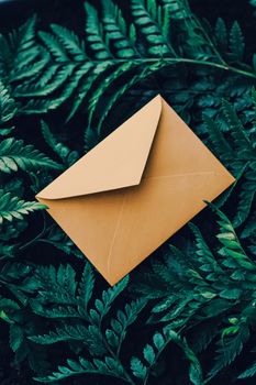 Blank envelope and green leaves in nature, paper card as background, correspondence and newsletter concept