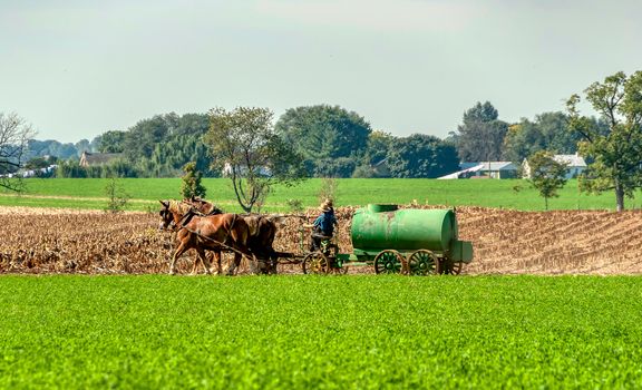 Amish Father Teaching Son how to Spread Liquid Manure on a Sunny Autumn Day