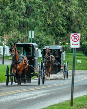 2 Amish Horse and Buggy Trotting to the Country Store on a Summer Day