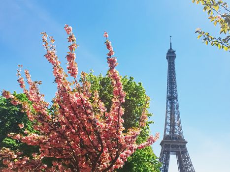 Eiffel Tower and blue sky, famous landmark in Paris, France in spring