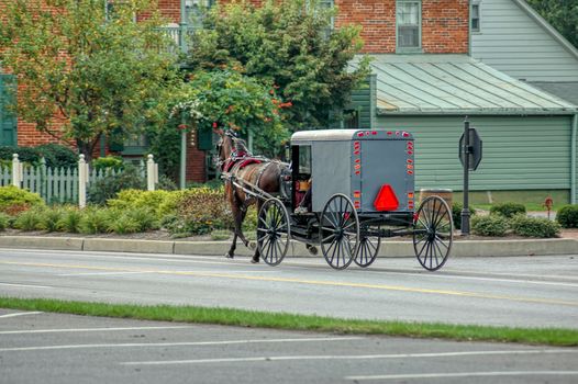 Amish Horse and Buggy Trotting to Country Store on a Summer Day