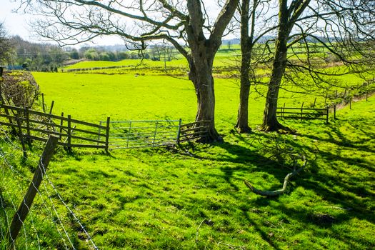 Old, cracked wooden fence and gate to pasture against the backdrop of nature.