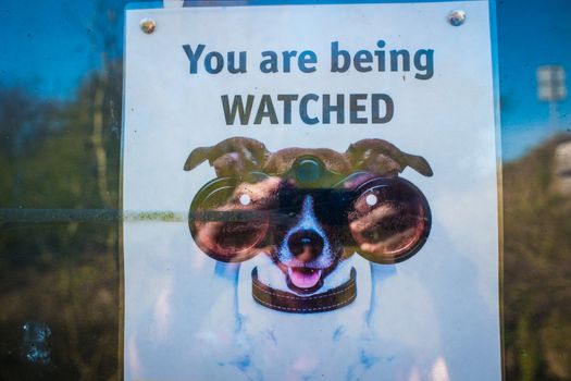 neighborhood watch sign with cartoon dog