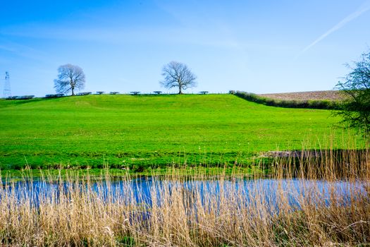 Scenic View of on the Lancster Canal Bathed in Warm Morning Sunlight Running through Cumbria England