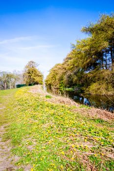 Springtime fields with hedges and trees