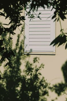 Shadows on the wall, sunshine and sun rays on summer day at sunset, nature and abstract concept