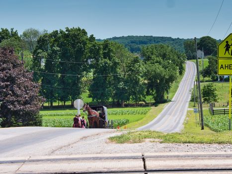 Amish Teenagers Walking Along Train Tracks with a Horse and Buggy Approaching in Countryside on a Sunny Day