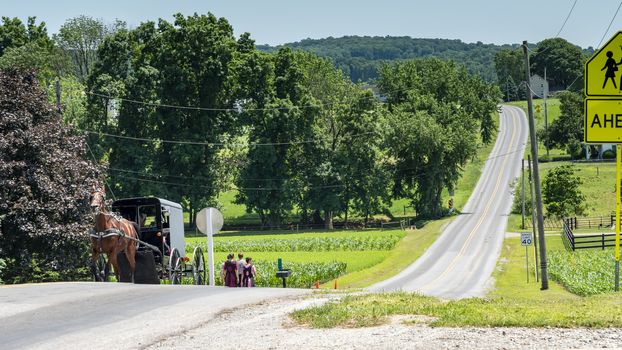 Amish Teenagers Walking Along Train Tracks with a Horse and Buggy Approaching in Countryside on a Sunny Day