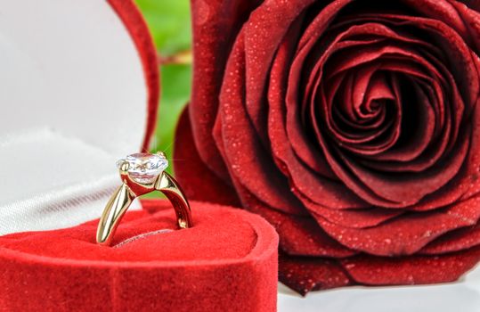 Gold engagement ring with diamonds in an elegant velvet box on the background of red rose.