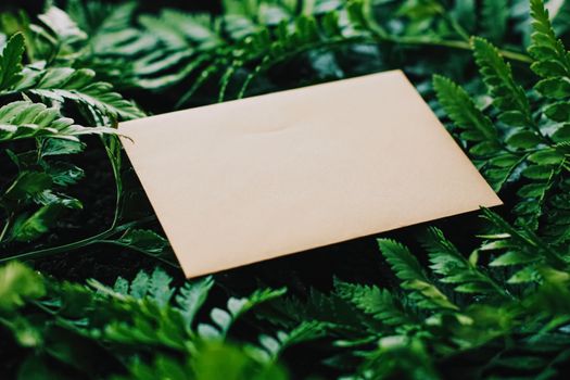 Blank envelope and green leaves in nature, paper card as background, correspondence and newsletter concept