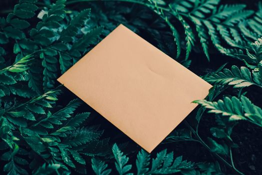 Blank envelope and green leaves in nature, paper card as background, correspondence and newsletter concept