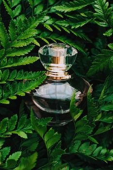 Perfume bottle with aromatic tropical scent in nature, luxury summer fragrance