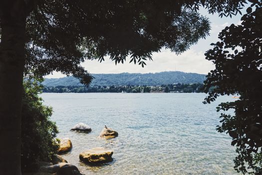 City park near lake Zurich in Switzerland, summertime