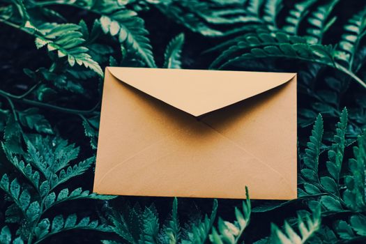 Blank envelope and green leaves in nature, paper card as background, correspondence and newsletter concept