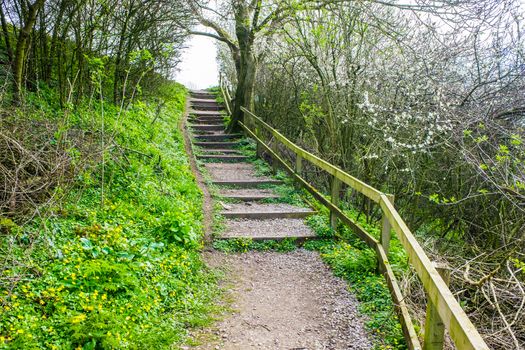 Old Wooden Steps up to towpath on Lancster Canal at Holme